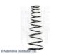 BLUE PRINT ADN188349 Coil Spring